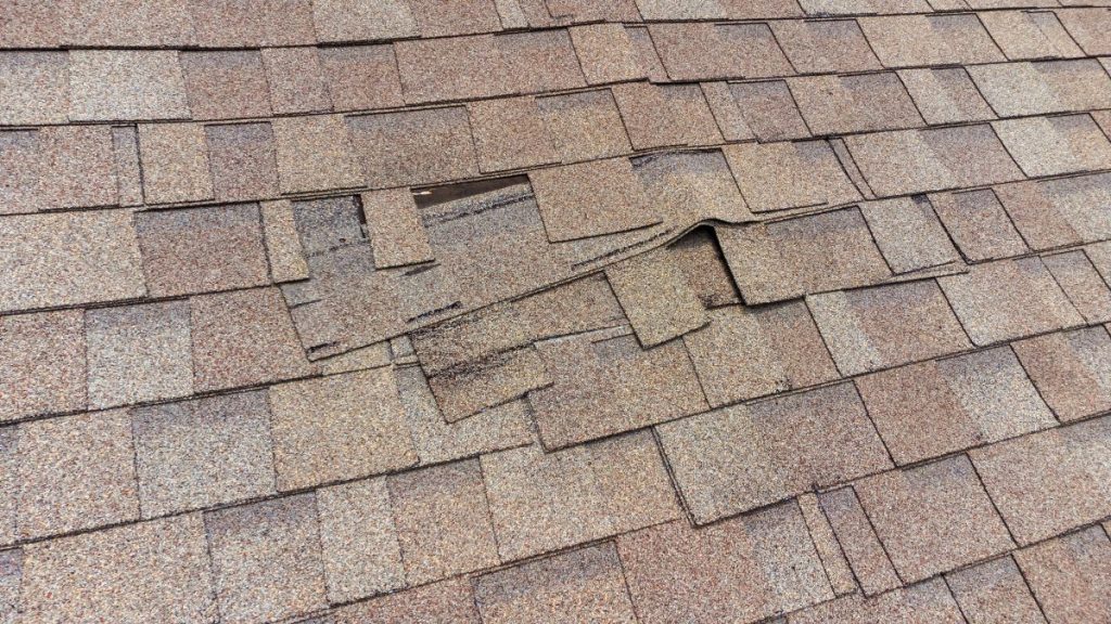 damaged roof shingles in need of repair